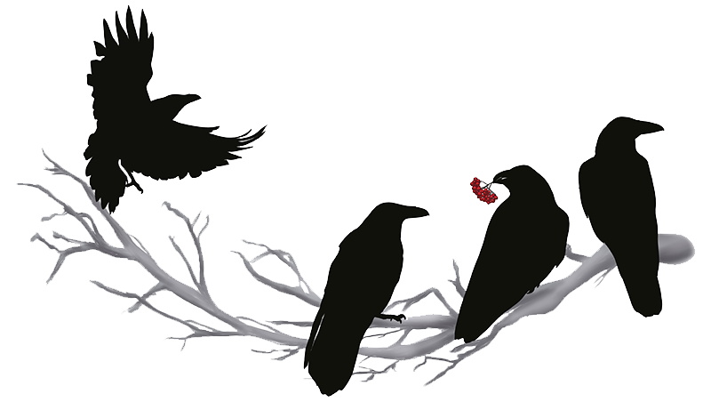 PetDesk logo