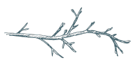 Untitled design (6)