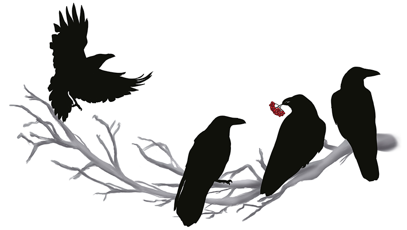 Ravenwood Veterinary Clinic logo