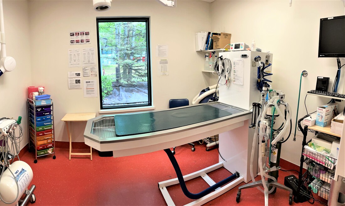 Surgery Suite