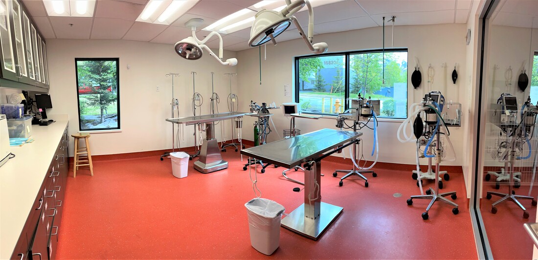 Surgery Suite