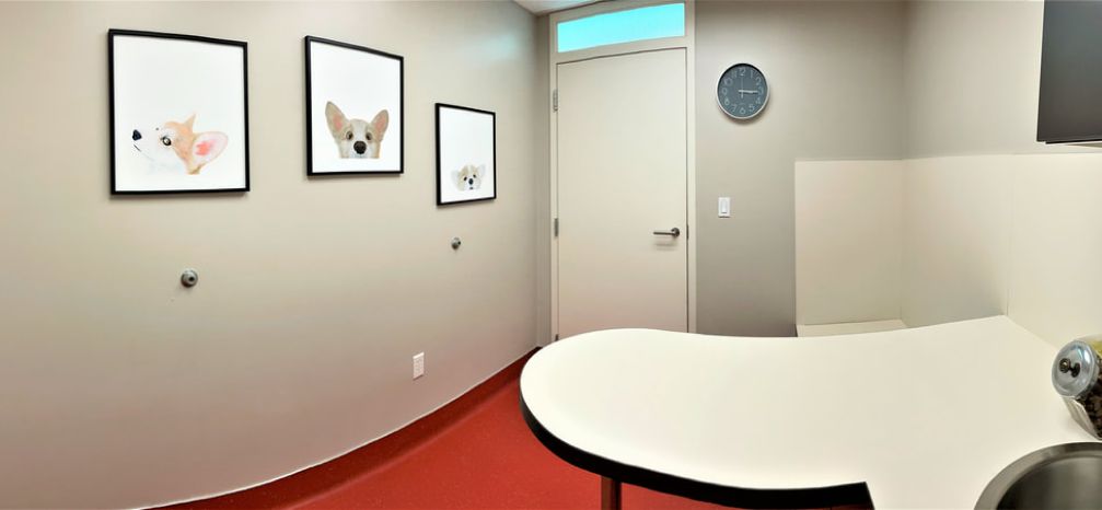 Thoughtfully Designed Exam Rooms