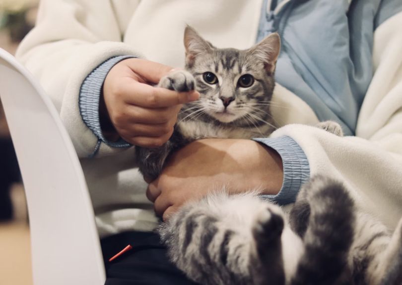 A Team That Treats Your Pets Like Family
